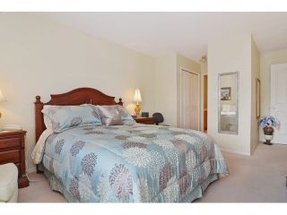 Photo 14: 414 2626 COUNTESS STREET in Abbotsford: Abbotsford West Condo for sale : MLS®# F1438917