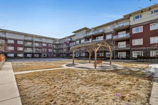 Photo 25: 241 23 Millrise Drive SW in Calgary: Millrise Apartment for sale : MLS®# A2021986