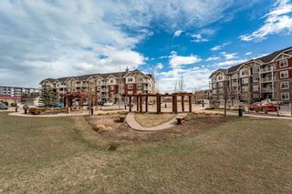 Photo 6: 1404 155 Skyview Ranch Way NE in Calgary: Skyview Ranch Apartment for sale : MLS®# A2126078