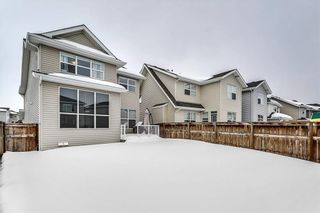 Photo 27: 8 AUBURN SPRINGS Manor SE in Calgary: Auburn Bay House for sale : MLS®# C4174101