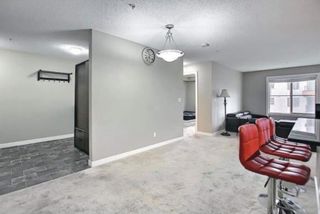 Photo 11: 1214 1317 27 Street SE in Calgary: Albert Park/Radisson Heights Apartment for sale : MLS®# A1176223