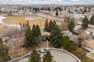 Photo 5: 643 Maryvale Way NE in Calgary: Marlborough Detached for sale : MLS®# A2119638