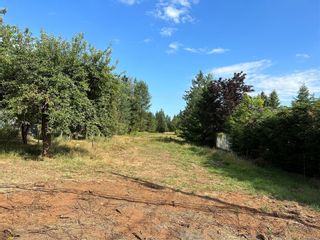 Photo 23: LOT A Lake Trail Rd in Courtenay: CV Courtenay West Land for sale (Comox Valley)  : MLS®# 924905