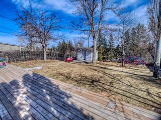 Photo 32: 42 Hays Drive SW in Calgary: Haysboro Detached for sale : MLS®# A1217952