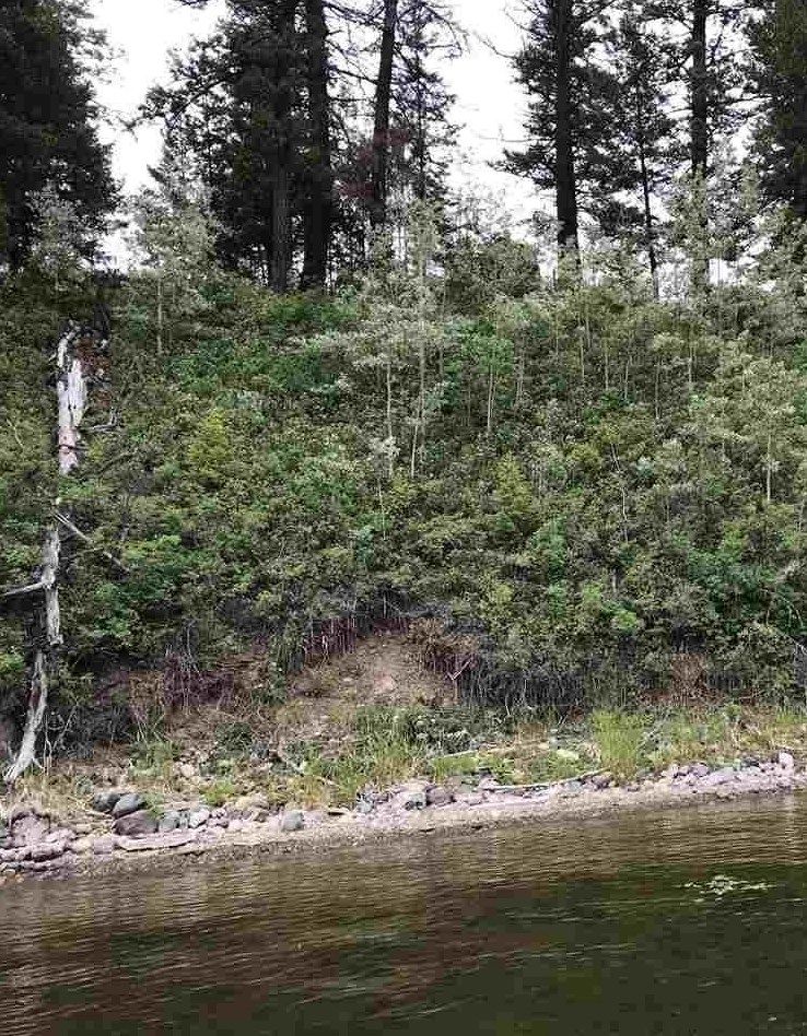Main Photo: LOT 3 GUEST Road: Cluculz Lake Land for sale (PG Rural West (Zone 77))  : MLS®# R2387385
