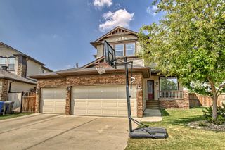 Photo 34: 204 Hawkmere Way: Chestermere Detached for sale : MLS®# A2053906