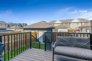 Photo 38: 43 Williamstown Gardens NW: Airdrie Row/Townhouse for sale : MLS®# A2035244