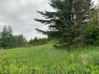 Photo 2: VL 242 Highway in Strathcona: 102S-South of Hwy 104, Parrsboro Vacant Land for sale (Northern Region)  : MLS®# 202214324