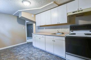 Photo 18: 930 16 Street NE in Calgary: Mayland Heights House for sale : MLS®# C4141621