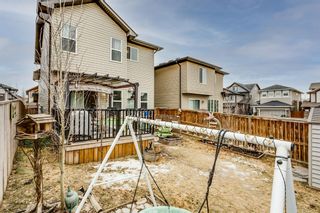 Photo 19: 20 Hillcrest Link SW: Airdrie Detached for sale : MLS®# A1179343