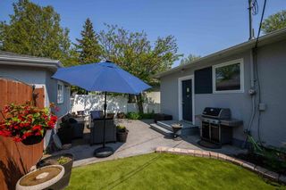 Photo 29: 377 Churchill Drive in Winnipeg: Riverview Residential for sale (1A)  : MLS®# 202314561
