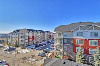 Photo 35: 2407 155 Skyview Ranch Way NE in Calgary: Skyview Ranch Apartment for sale : MLS®# A1188175