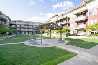Photo 25: 320 23 Millrise Drive SW in Calgary: Millrise Apartment for sale : MLS®# A1246026