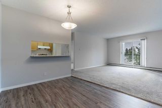Photo 3: 316 2022 Canyon Meadows Drive SE in Calgary: Queensland Apartment for sale : MLS®# A2059840