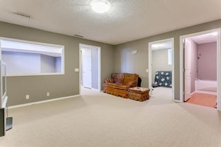 Photo 24: 250 MARTHA'S Manor NE in Calgary: Martindale Detached for sale : MLS®# C4267233
