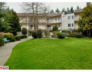 Photo 13: 204 12890 17TH Avenue in Surrey: Crescent Bch Ocean Pk. Condo for sale in "OCEAN PARK PLACE" (South Surrey White Rock)  : MLS®# F1003860