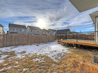 Photo 35: 1105 Prairie Springs Hill SW: Airdrie Detached for sale : MLS®# A1173302