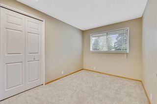 Photo 28: 6407 Rundlehorn Drive NE in Calgary: Pineridge Detached for sale : MLS®# A1230517