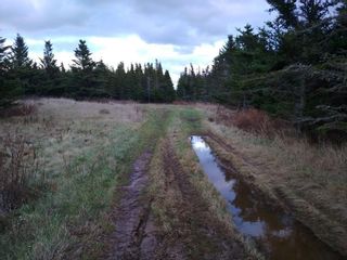 Photo 6: Lot Nollett Beckwith Road in Ogilvie: 404-Kings County Vacant Land for sale (Annapolis Valley)  : MLS®# 202120227