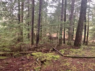 Photo 29: Lot 61 Busby Island in Sonora Island: Isl Small Islands (Campbell River Area) Land for sale (Islands)  : MLS®# 893766