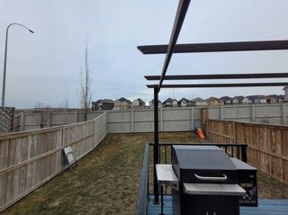 Photo 40: 119 Kincora Crescent NW in Calgary: Kincora Semi Detached (Half Duplex) for sale : MLS®# A2101889