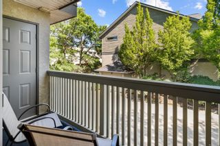 Photo 11: 1646 Myrtle Ave in Victoria: Vi Oaklands Row/Townhouse for sale : MLS®# 877528