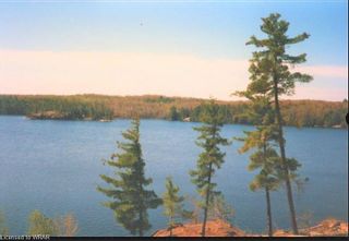 Photo 6: 3351 Miller Island in French River: Parry Sound Residential for sale : MLS®# 40418617