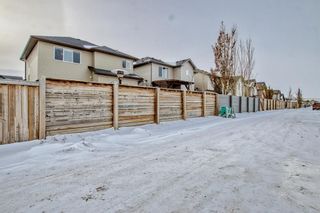 Photo 45: 52 Baywater Court SW: Airdrie Detached for sale : MLS®# A2011934