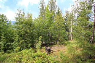 Photo 16: 3462 Eagle Bay Road in Blind Bay: Land Only for sale : MLS®# 10212583