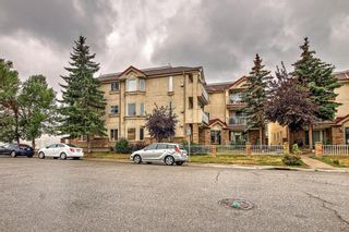 Photo 28: 305 1723 35 Street SE in Calgary: Albert Park/Radisson Heights Apartment for sale : MLS®# A2074753