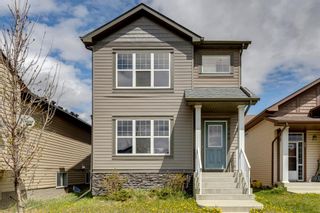 Photo 3: 290 Martindale Drive NE in Calgary: Martindale Detached for sale : MLS®# A1221124