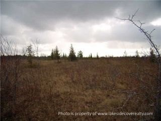 Photo 9: 2489 Concession Road 3 Road in Ramara: Brechin Property for sale : MLS®# X3371303