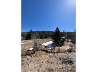 Photo 14: 201 JOLIFFE WAY in Rossland: Vacant Land for sale : MLS®# 2475917