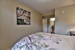 Photo 10: A401 8929 202 Street in Langley: Walnut Grove Condo for sale in "The Grove" : MLS®# R2108220