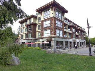Photo 16: 304 3732 MT SEYMOUR Parkway in North Vancouver: Indian River Condo for sale in "NATURE'S COVE" : MLS®# R2687303
