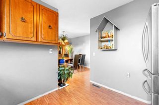 Photo 11: 20 Whitmire Road NE in Calgary: Whitehorn Detached for sale : MLS®# A2080376