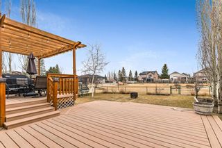 Photo 31: 488 Sandy Beach Cove: Chestermere Detached for sale : MLS®# A1200017
