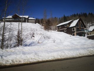 Photo 19: 806 WHITE TAIL DRIVE in Rossland: Vacant Land for sale : MLS®# 2475708