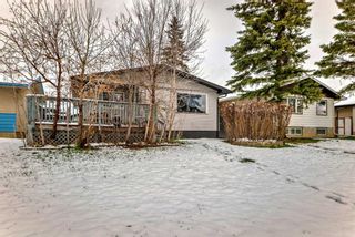 Photo 3: 3431 32A Avenue SE in Calgary: Dover Detached for sale : MLS®# A2126947