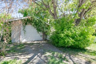 Photo 10: 3841 1 Street SW in Calgary: Parkhill Detached for sale : MLS®# A1246130
