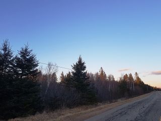 Photo 4: LOT MCNALLY Road in Victoria Harbour: 404-Kings County Vacant Land for sale (Annapolis Valley)  : MLS®# 201923444
