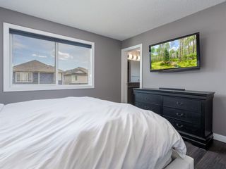 Photo 32: 155 Skyview Shores Crescent NE in Calgary: Skyview Ranch Detached for sale : MLS®# A1110098