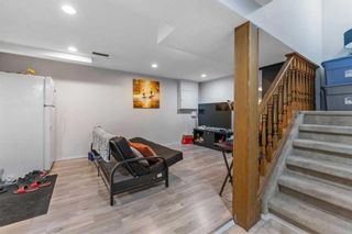 Photo 22: 77 Castlebrook Way NE in Calgary: Castleridge Semi Detached (Half Duplex) for sale : MLS®# A2130628
