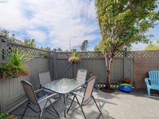 Photo 19: 4 3338 Whittier Ave in VICTORIA: SW Rudd Park Row/Townhouse for sale (Saanich West)  : MLS®# 770011