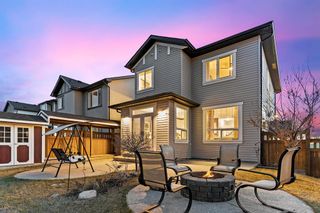 Photo 21: 126 Skyview Ranch Street NE in Calgary: Skyview Ranch Detached for sale : MLS®# A2078956
