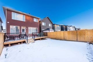 Photo 46: 218 Lucas Terrace NW in Calgary: Livingston Detached for sale : MLS®# A2109254