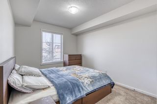 Photo 12: 4209 99 Copperstone Park SE in Calgary: Copperfield Apartment for sale : MLS®# A1218349