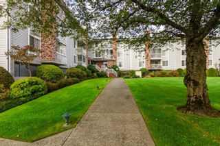 Photo 2: 216 5379 205 Street in Langley: Langley City Condo for sale in "Heritage Manor" : MLS®# R2745797