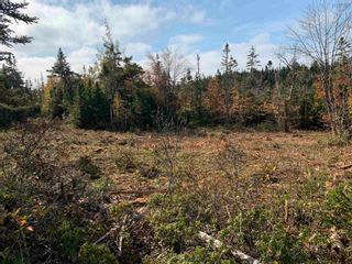 Photo 8: 32 Hollywood Drive in West Porters Lake: 31-Lawrencetown, Lake Echo, Port Vacant Land for sale (Halifax-Dartmouth)  : MLS®# 202225289