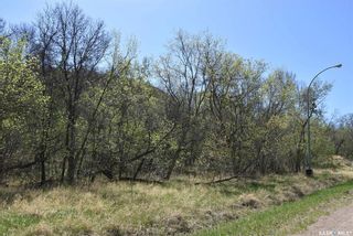 Photo 4: 402 Mackie Street in North Qu'Appelle: Lot/Land for sale (North Qu'Appelle Rm No. 187)  : MLS®# SK889316
